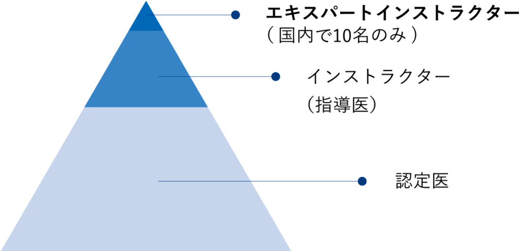 エキスパートインストラクター、ICL